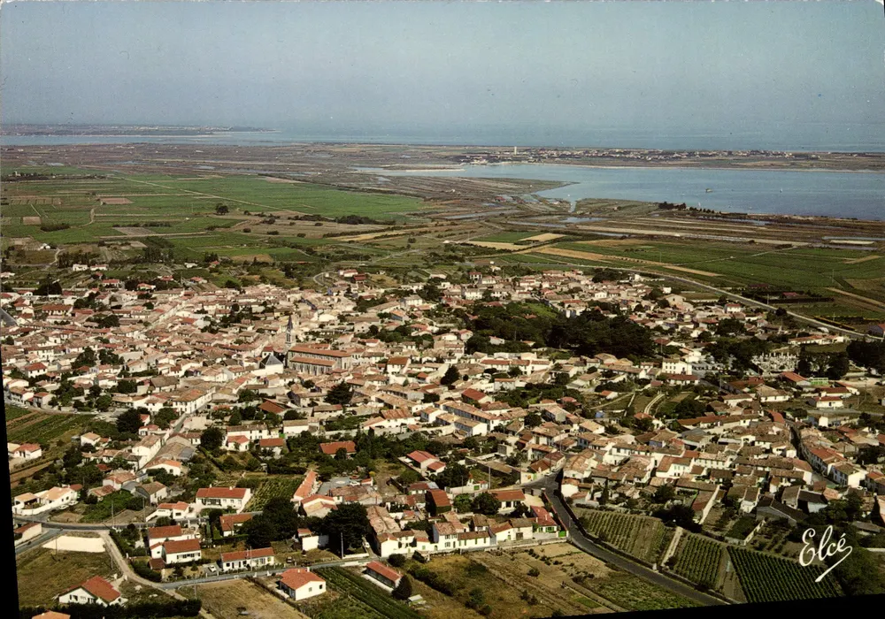 La Couarde en Ré — Allgemeiner Blick auf die Stadt, im Hintergrund das Meer — Élécé - Vorderseite