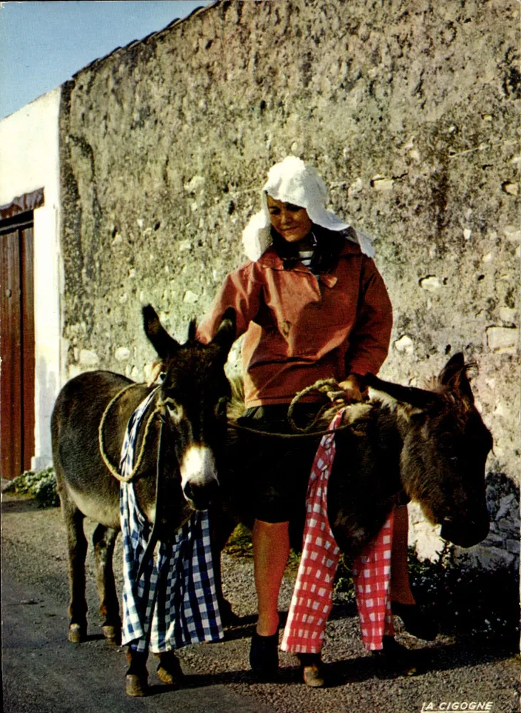 Rétaise und ihre Esel in Hosen — Île de Ré (Charente-Maritime) — Éditions LA CIGOGNE, Bordeaux - Vorderseite
