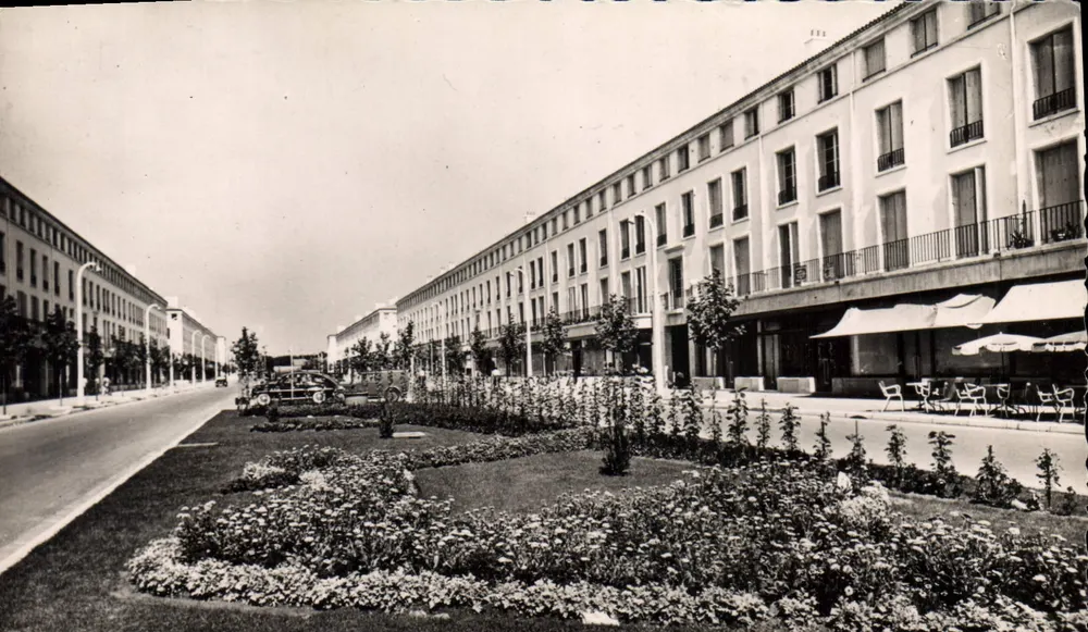 Royan — Cours Albrion — Mastiffs de Fleurs — M. Berjaud - Frente