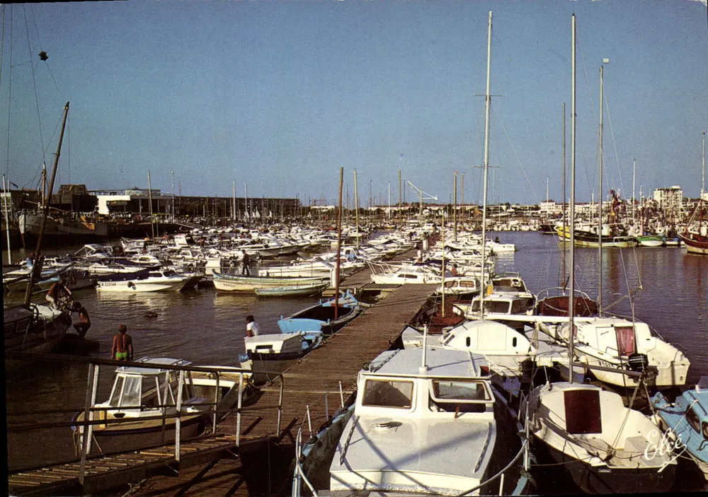 O Novo Porto de Recreio — Royan (17) — Élécée - Frente