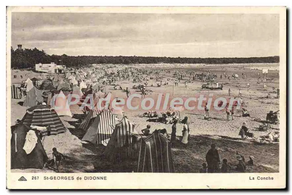 St-Georges de Didonne — A Concha — Bilhete postal antigo de Collection n°267 - Frente
