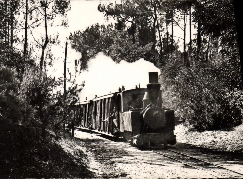 Saint-Palais-sur-Mer — O Trem na Floresta — editor 'O Trem na Floresta' n°99 - Frente