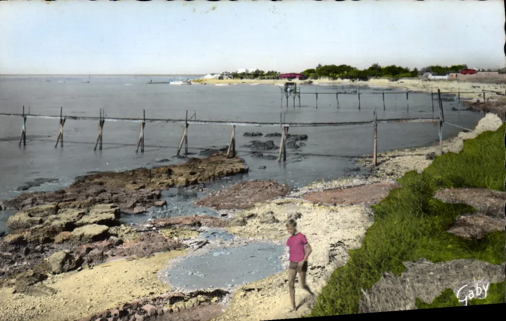 Angoulins-sur-Mer — Blick auf den Hafen und die Fischereien — Éditions Gaby, Nantes - Vorderseite