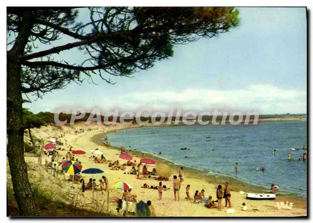 La Palmyre (Charente-Maritime) — A Praia de Bonne Anse — Éditions Panazol - Frente