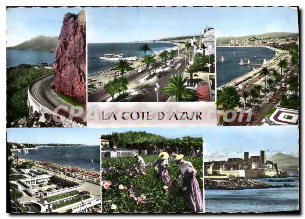 Die Côte d'Azur — panoramische und blühende Ansicht — Verlag Real-Photo, Nr. 677 - Vorderseite