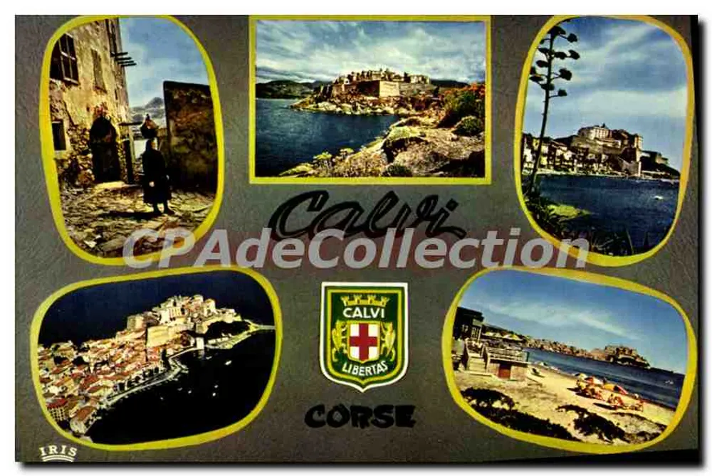 Calvi — Vista panoramica e paesaggi — IRIS - Recto