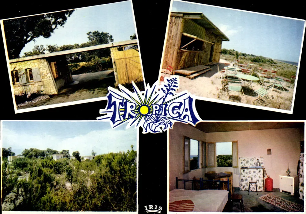 Tropica — Bungalows e interior — Edições Dipicime - Frente