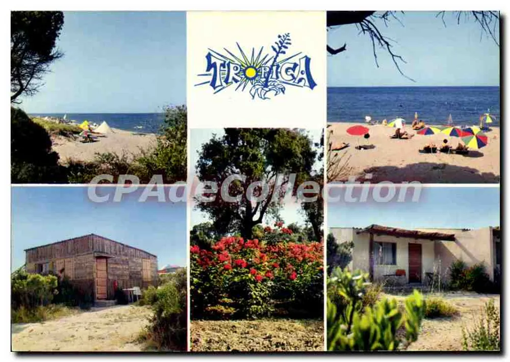 Tropica — Playa y bungalows en Linguizzetta — Ediciones Diplom - Anverso