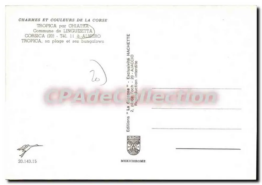 Tropica — Playa y bungalows en Linguizzetta — Ediciones Diplom - Reverso