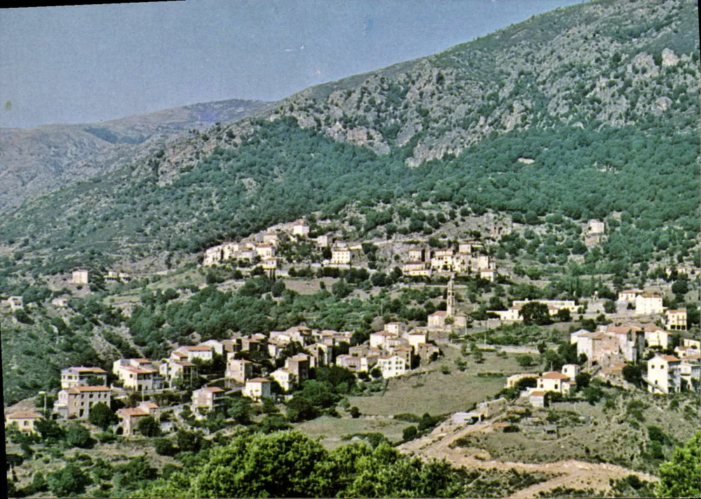 Dorf Moltifao — Allgemeiner Blick — Gesellschaft der Moltifao-Verteilungsagenturen - Vorderseite