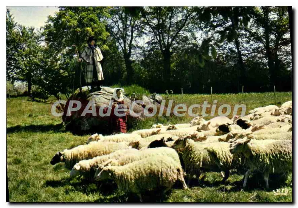 Berger - Schäferin in der Haute Corrèze — Les Compagnons de la Joie au Village (Volksgruppe Usse) — CAP - Théodiac Éditions Panazol - Vorderseite