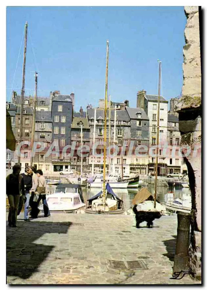 Honfleur — Arrivée sur le bassin — S.A.D. 3 rue Ci. Choppe - 78310 Potteville - Recto