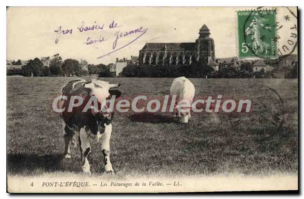 PONT-L'ÉVÉQUE — Die Wiesen der Talregion — LL. - Vorderseite