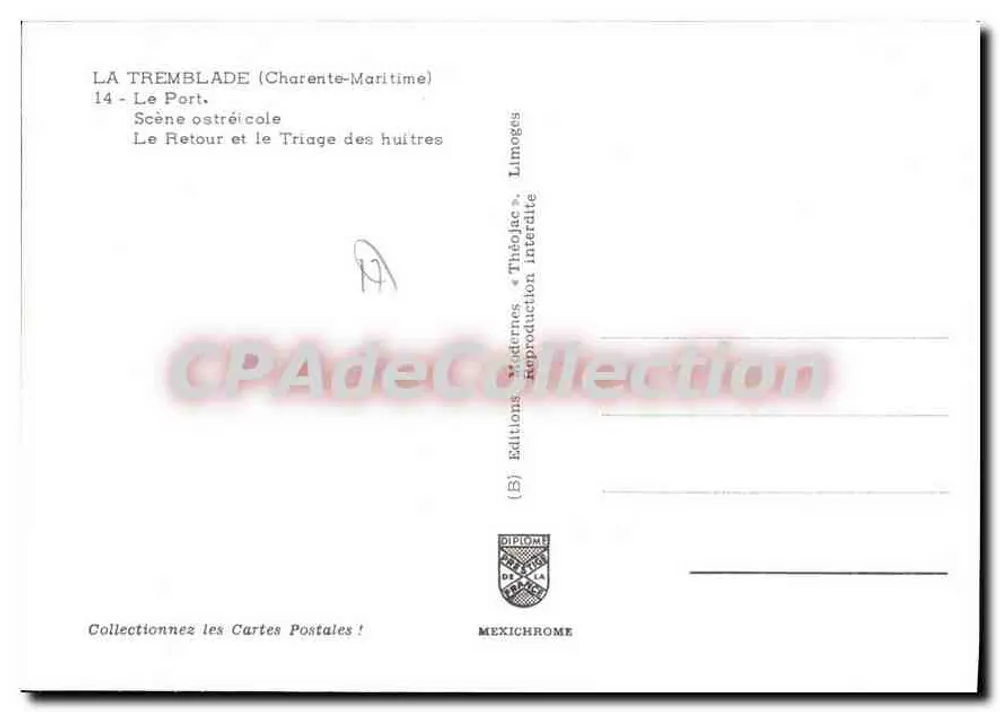 La Tremblade (Charente-Maritime) — Der Hafen. Oyster-Sortierszene. Éditions Diplôme - Rückseite