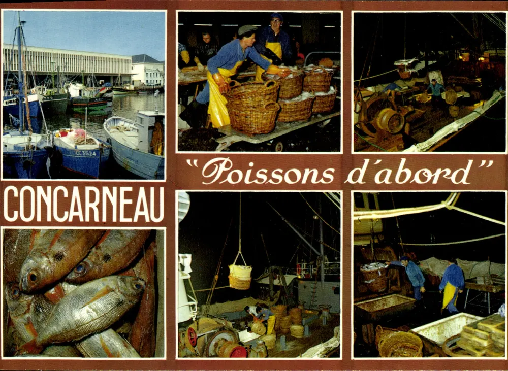 Concarneau — Peixes em primeiro plano — Edições de La Cricipu Hachette - Frente