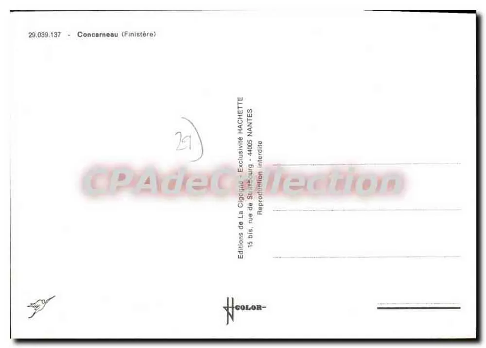 Concarneau — Peixes em primeiro plano — Edições de La Cricipu Hachette - Verso