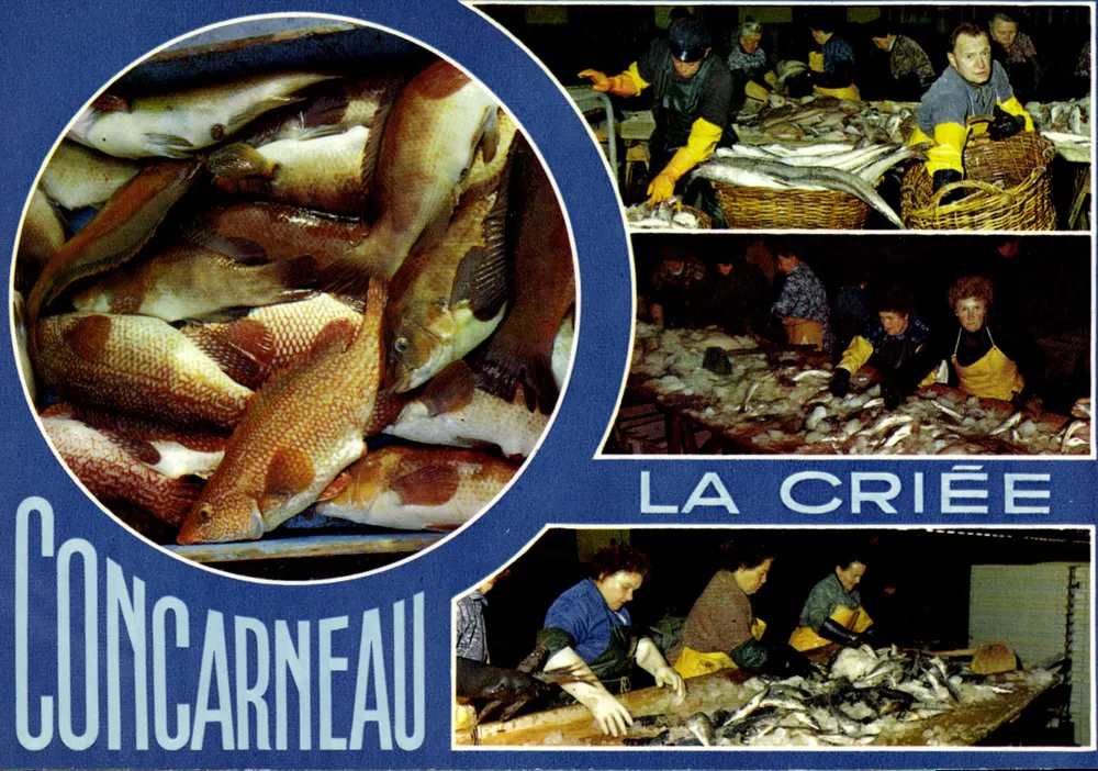 Concarneau — A Criée — Edições de La Cigoma - Frente