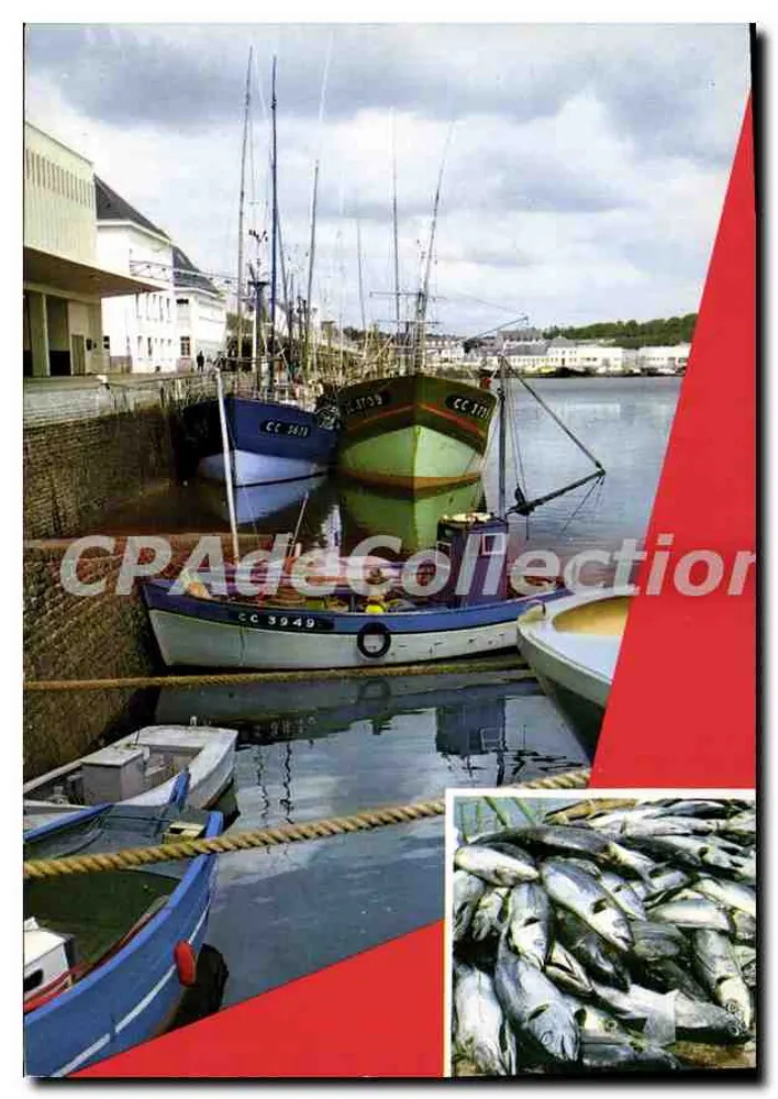 Concarneau (Finistère) — Os Pescadores de Atum no Cais — Edições "La Cigogne" - Frente