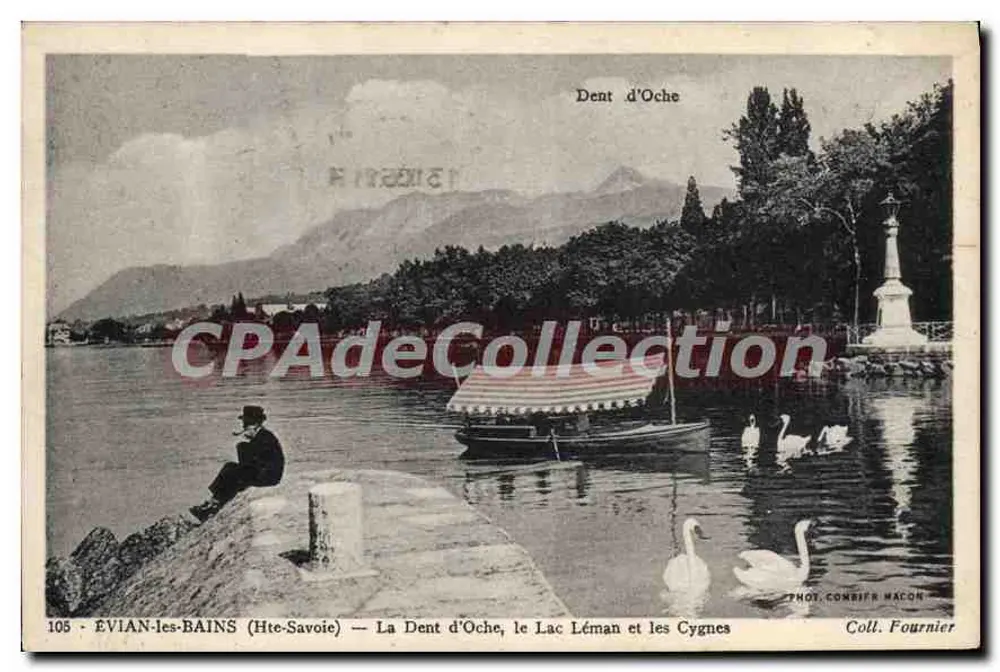 Évian-les-Bains (Haute-Savoie) — Die Dent d'Oche, der Lac Léman und die Schwäne — Foto. Combifr Macon - Vorderseite