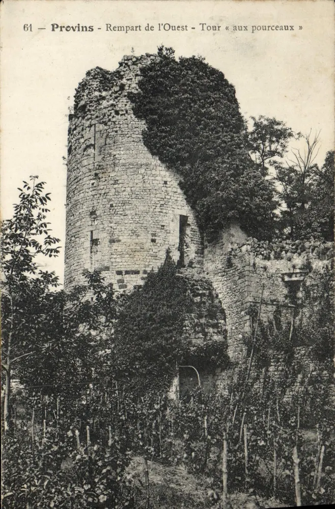 Provins - Westlicher Wall - Turm « aux pourceaux » - Vorderseite