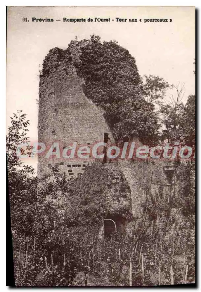 Provins — Westliche Mauern — Turm der 'Pourceaux' - Vorderseite