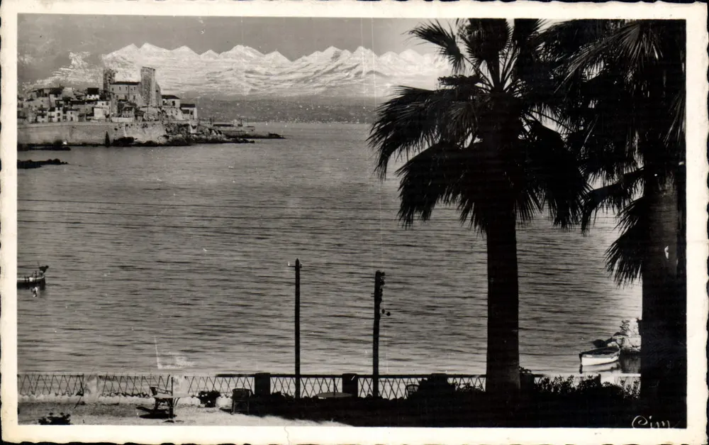 Antibes (A.M.) — Vista das Alpes — Editor Cinn - Frente