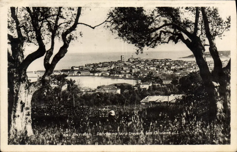 Antibes — Panorama visto através dos Oliveiras — LL - Frente