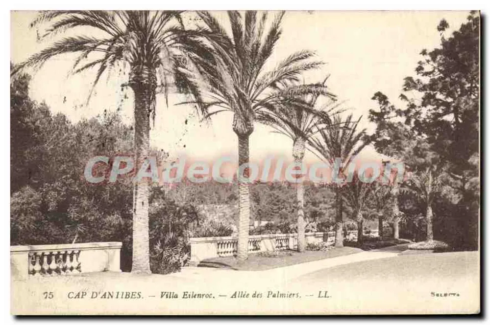 Cap d'Antibes — Villa Eilenroc — Palmengasse — LL. — Sélecta - Vorderseite