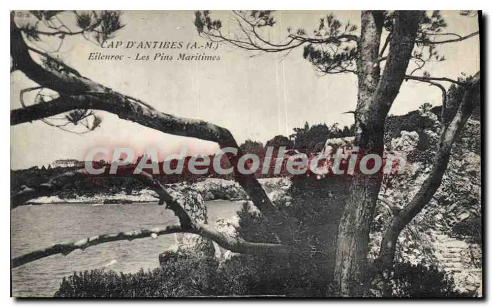 Cap d'Antibes (A.-M.J.) — Les Pins Maritimes — Edição A.-M.J. - Frente