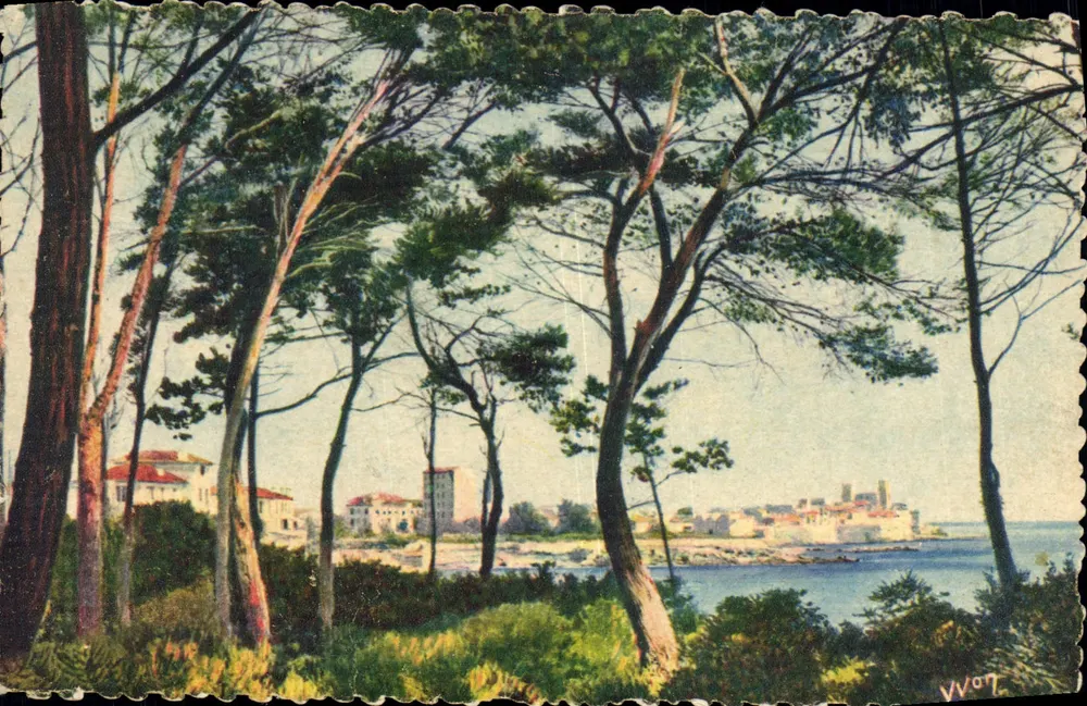 Antibes — Blick auf die Stadt durch die Kiefern der Corniche — Éditions d'Art Yvon - Vorderseite