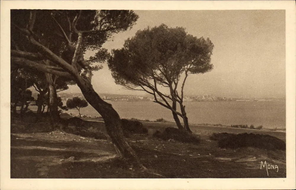 Antibes — vista através das pinheiras — Edição MONA, n° SE. 567 - Frente