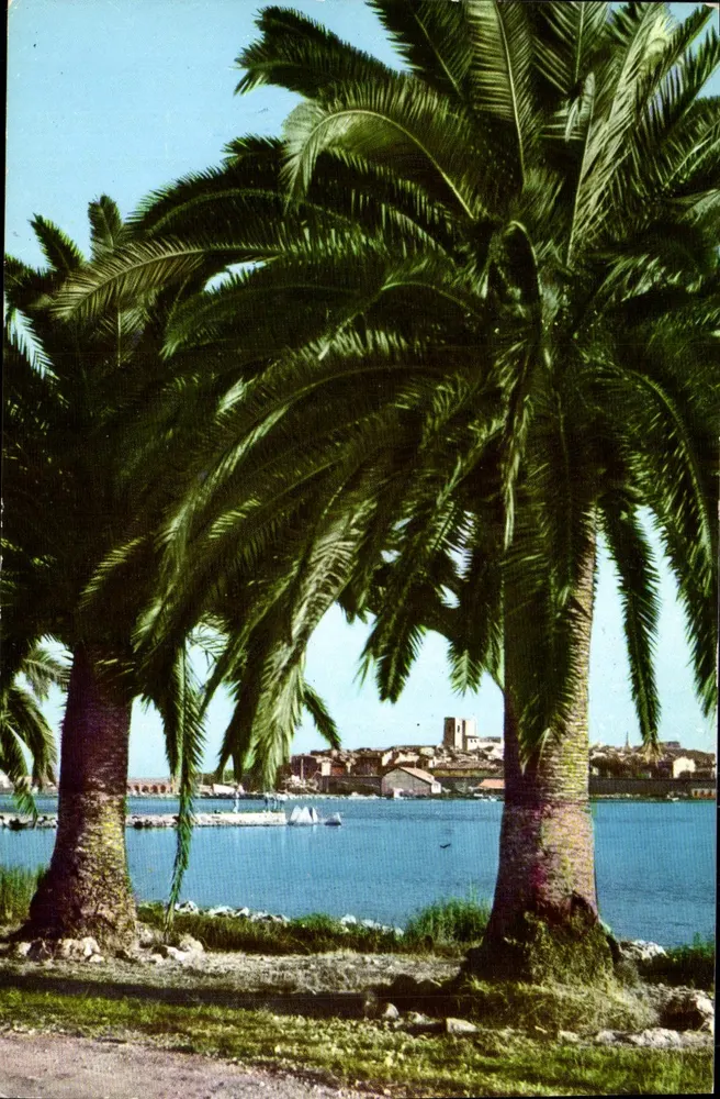 Antibes — Blick auf die Altstadt — Editions S.E.P.T. n° 66 - Vorderseite