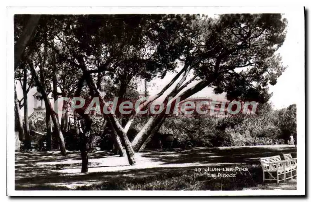 Juan-les-Pins — La Pinede — Edições Lébas - Frente