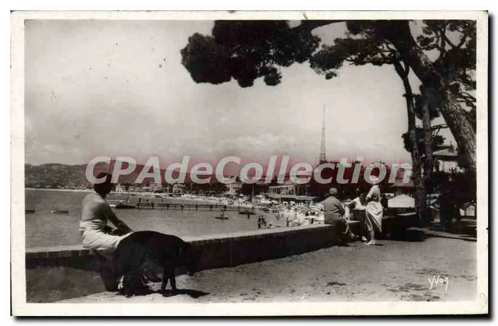 Juan-les-Pins (Alpes-Mar.) — Blick auf den Strand vom Pinienhain — Les Éditions d'Art - Vorderseite