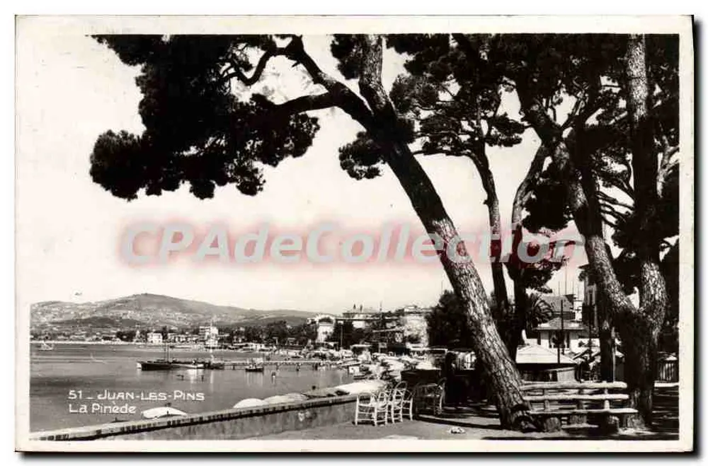 A Pinheira — Juan-les-Pins — CPAdeCollection n°51 - Frente