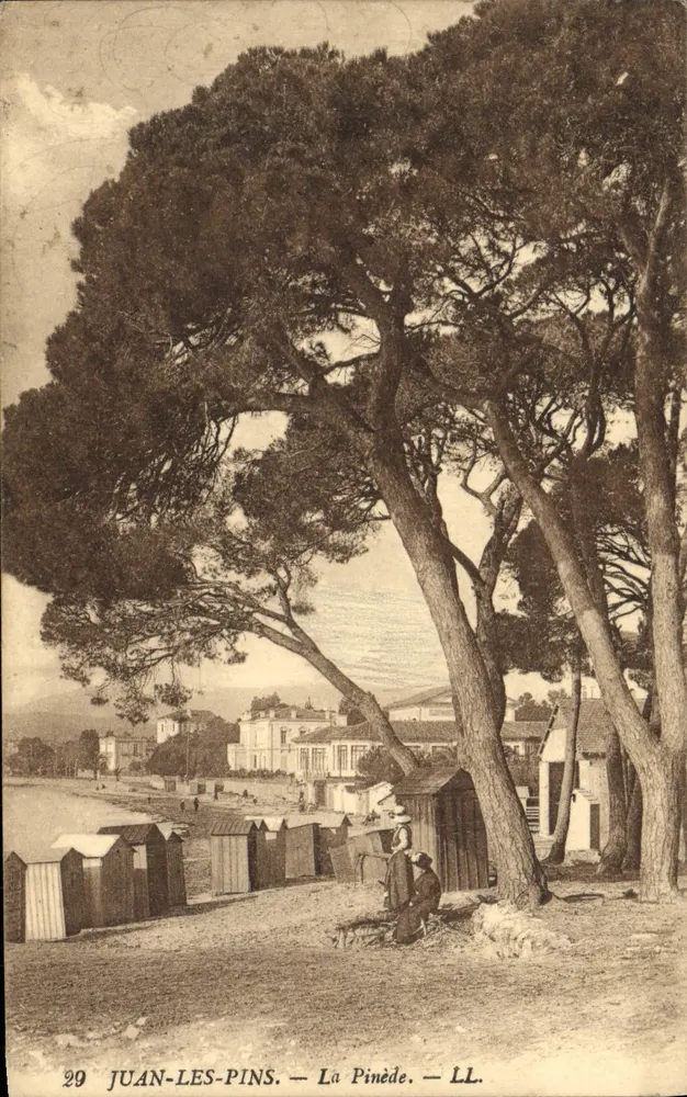 Juan-les-Pins — A Pinède — LL. — N°29 - Frente
