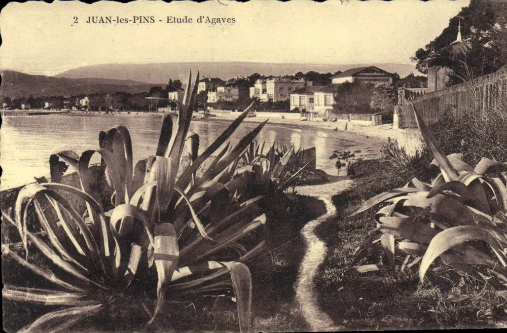 Juan-les-Pins — Estudo de Agaves — Edição Nouvelles Cultures, Juan-les-Pins - Frente