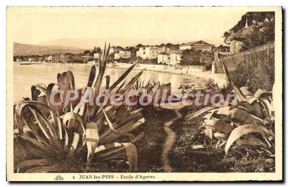Juan-les-Pins — Estudo de Agaves — Edição M. Lachamp - Frente