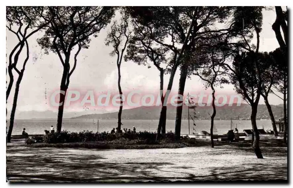 Les Pins — Vista da beira do mar — Editor: Plage Sports - Frente
