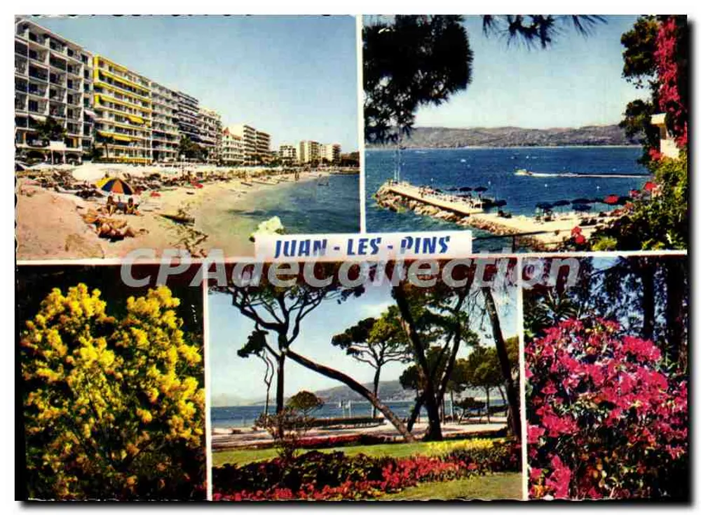 Juan-les-Pins — vista panorâmica — CPAdeCollection n°06.004.122 - Frente