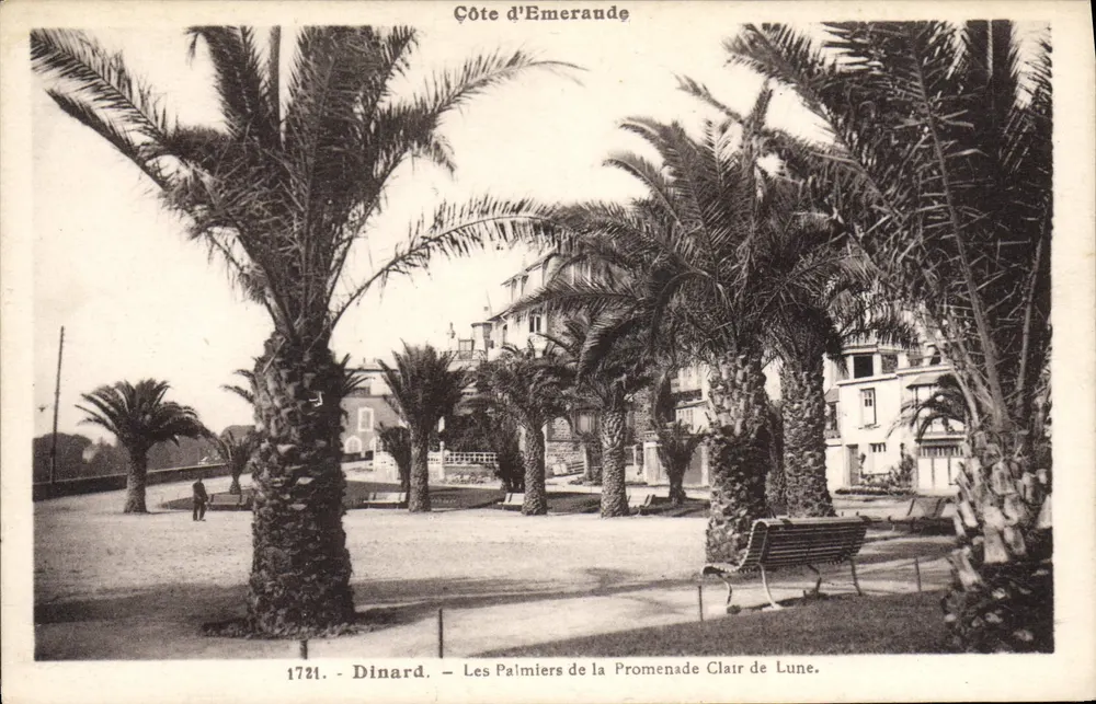 Dinard — Die Palmen der Clair de Lune Promenade — Côte d'Émeraude - Vorderseite