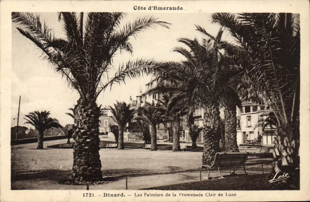 Dinard — Die Palmen der Promenade Clair de Lune — Loir, n°1721 - Vorderseite