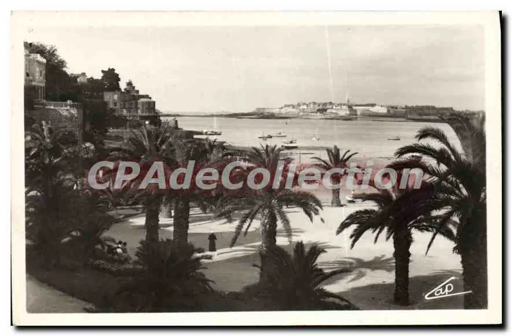 Dinard — Die Palmeraie — Verlag CAP, Nr. 146 - Vorderseite