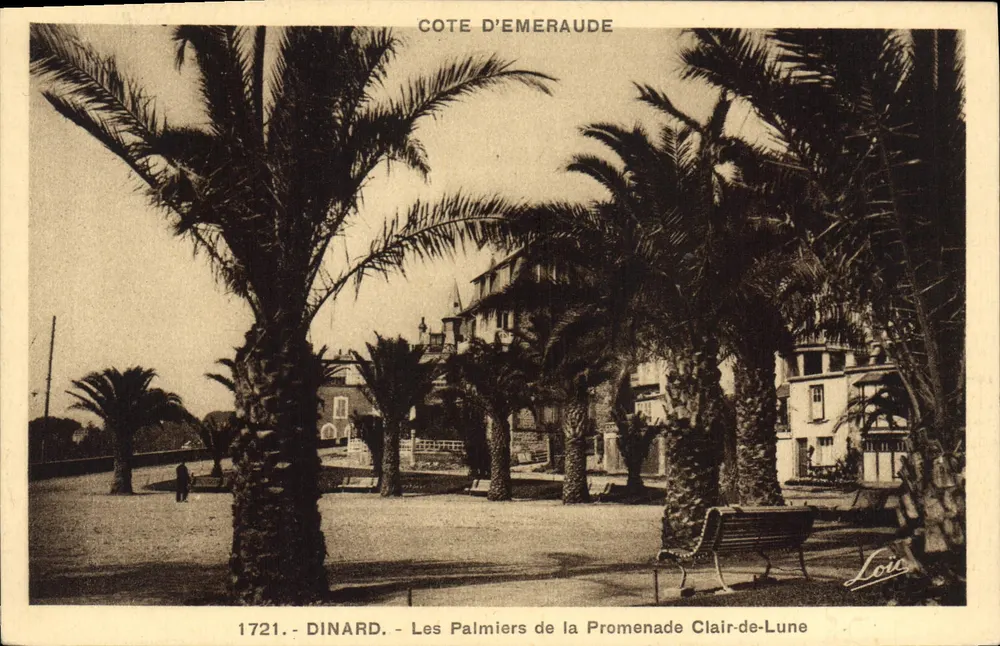 Dinard - Die Palmen der Clair-de-Lune Promenade — Küste der Saphire, Verlag Loïc, Seriennummer 1721 - Vorderseite