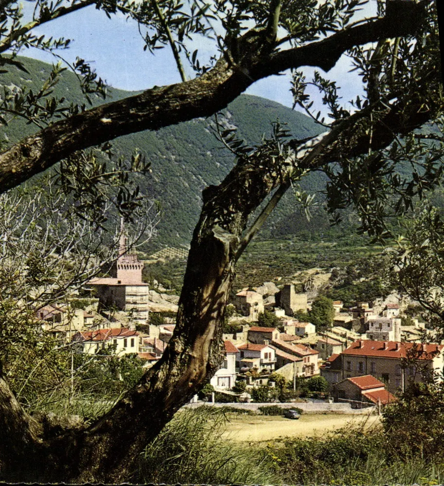 Nyons (Drôme) — Vista geral — Edições Naturais n°86 NI 101 - Frente