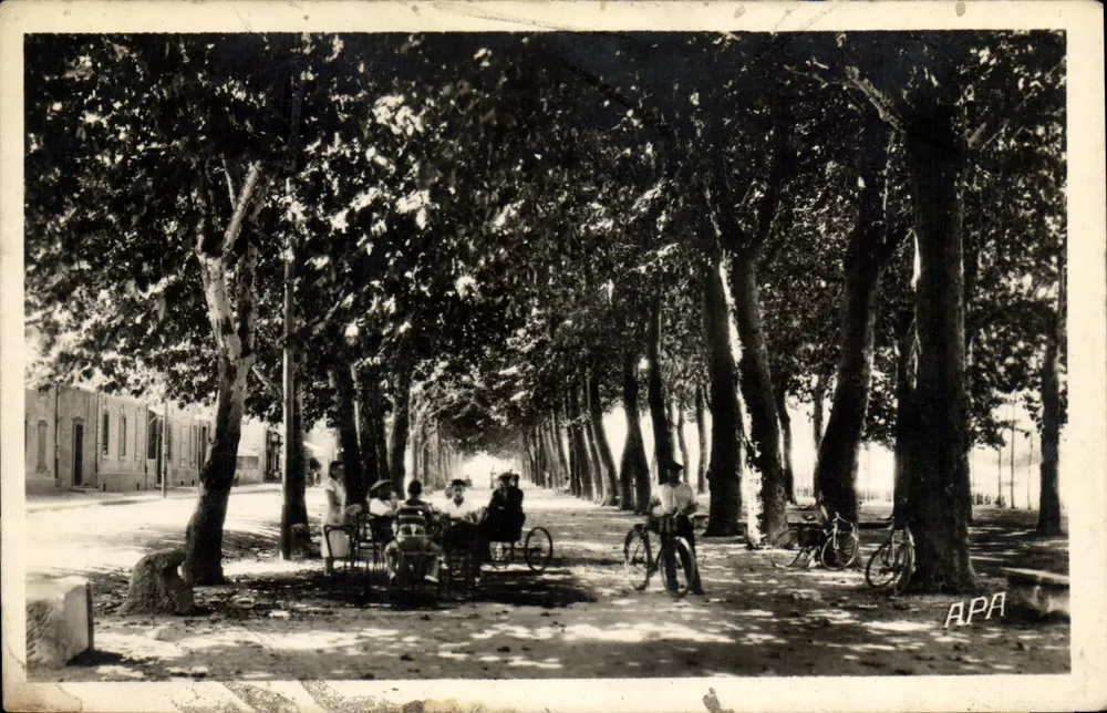 Ales (Gard) — Promenade des Platanes — editor APA - Frente