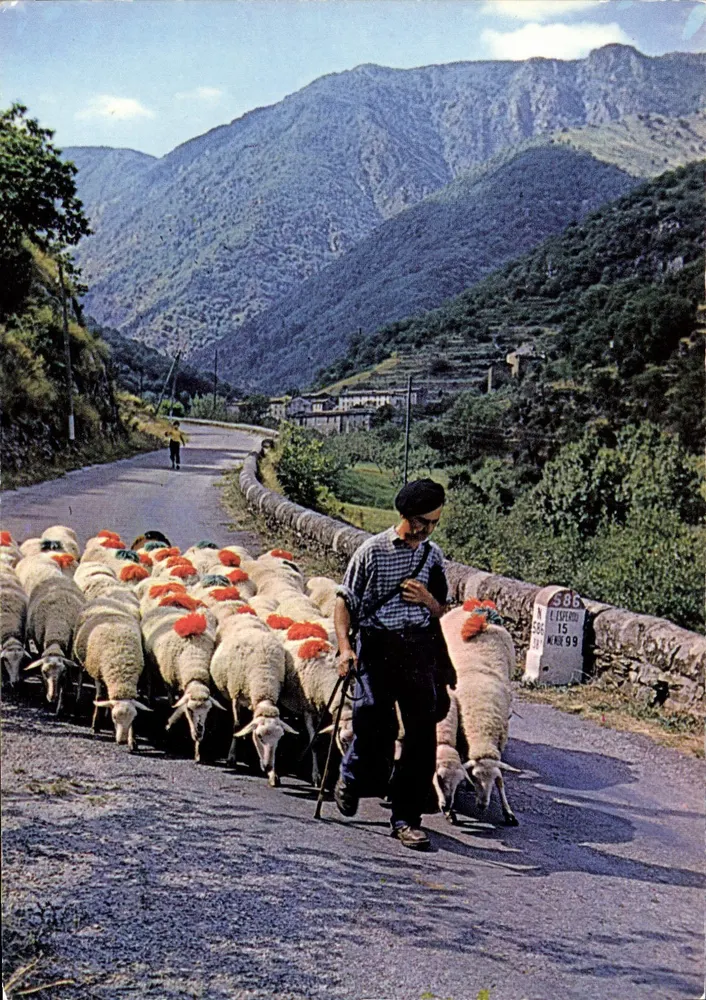 Mont Aigoual — Cévennol-Herd — Editions "Les Cévennes Touristiques" - Vorderseite