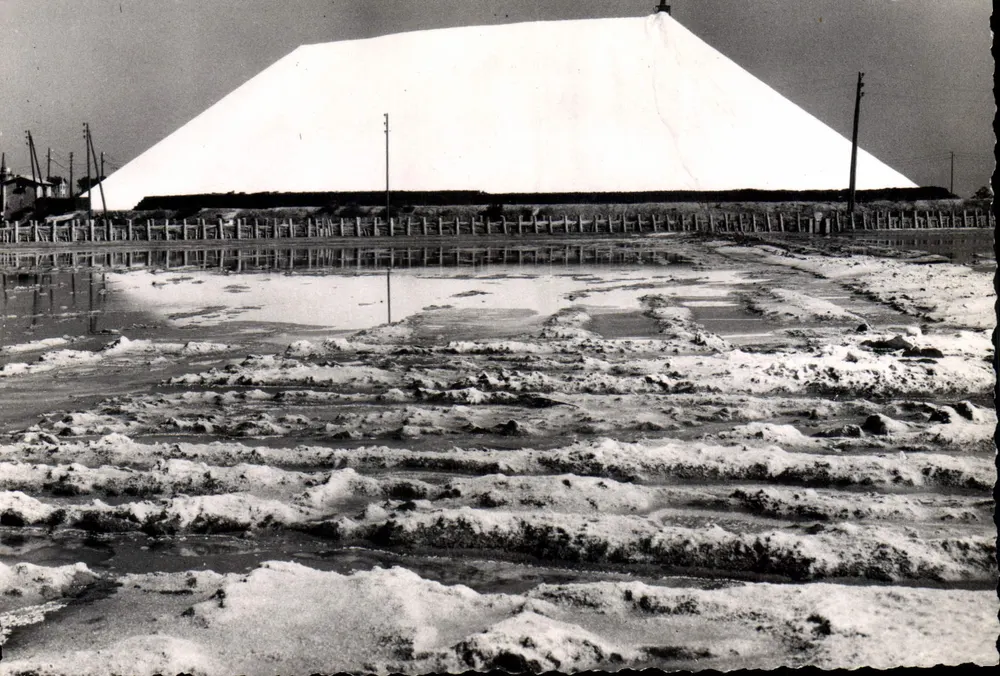 Salina da ilha de Algo — vista industrial — CPAdéCollection - Frente