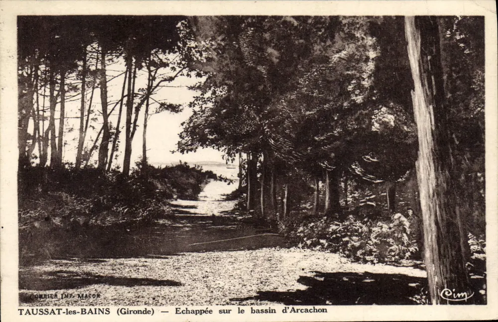 Taussat-les-Bains (Gironde) — Ansicht des Bassins d'Arcachon — Courrier Imp. Mason - Vorderseite