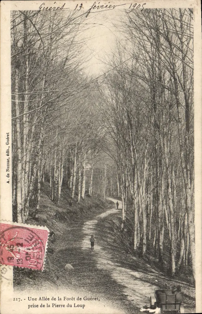 Allée der Forêt de Guéréret — Aufnahme der Pierre du Loup — A. de Nussac, Verlag, Guéréret, Nr. 217 - Vorderseite